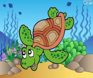 Puzle Mořská želva