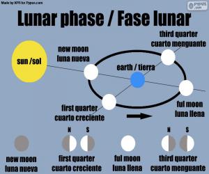 Puzle Měsíční fáze