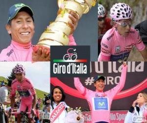 Puzle Nairo Quintana, Giro 2014