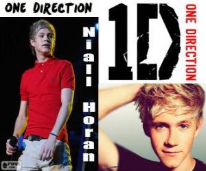 Puzle Niall Horan, One Direction