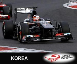 Puzle Nico Hulkenberg - Sauber - Korean International Circuit, 2013