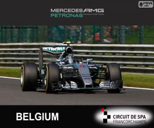 Puzle Nico Rosberg, 2015 Grand Prix Belgie