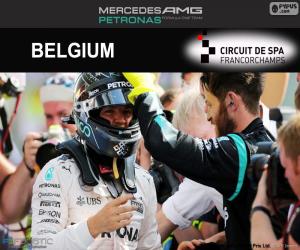 Puzle Nico Rosberg, Grand Prix Belgie 2016