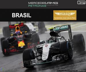 Puzle Nico Rosberg, Grand Prix Brazílie 2016