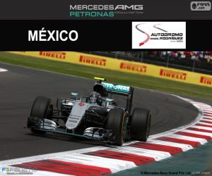 Puzle Nico Rosberg, Grand Prix Mexika 2016