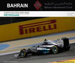 Puzle Nico Rosberg - Mercedes - 2014 Grand Prix Bahrajnu, svírající klasifikované