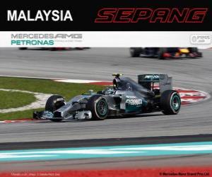 Puzle Nico Rosberg - Mercedes - Grand Prix Malajsie 2014, svírající klasifikované