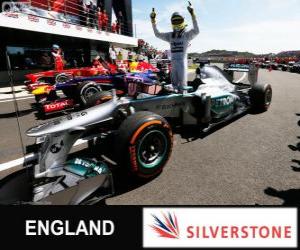 Puzle Nico Rosberg slaví vítězství v Grand Prix Velké Británie 2013