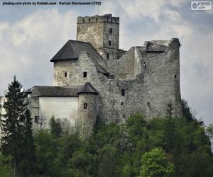 Puzle Niedzica Castle