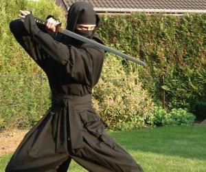 Puzle Ninja bojovníka a boj s katana