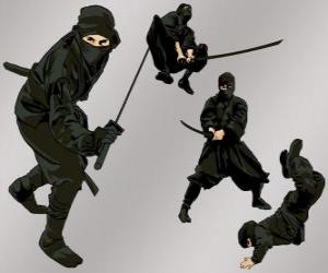Puzle Ninja v různých polohách