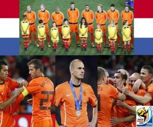 Puzle Nizozemsko, 2. místo v Mistrovství světa ve fotbale 2010 Jižní Afrika