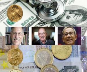 Puzle Nobelova cena za ekonomii 2010 - Peter A. Diamond, Dale T. Mortensen a Christopher A. Pissarides -