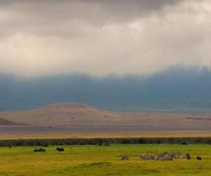 Puzle Norongoro - Tanzanie -