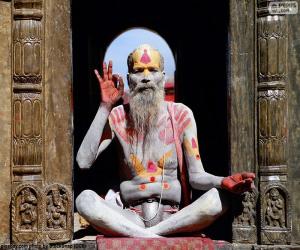 Puzle Náboženství v Indii