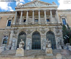 Puzle Národní knihovna Španělska, Madrid