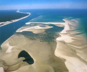 Puzle Národní park Banc d&#039;Arguin, nacházející se podél pobřeží Atlantiku. Mauretánie.