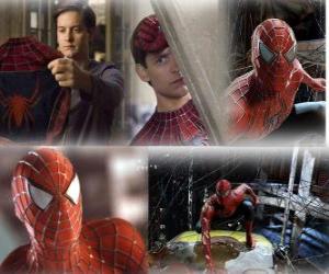 Puzle Několik obrázků z Spiderman
