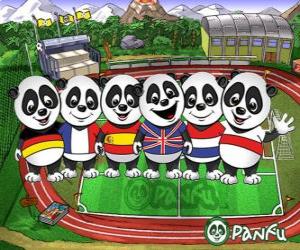 Puzle Několik Panfu panda T-shirts některých národních týmů