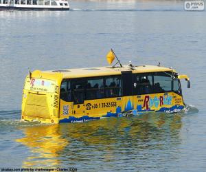 Puzle Obojživelný autobus