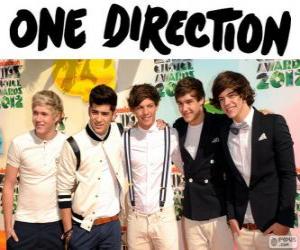 Puzle One Direction je boyband britanica-irlandesa