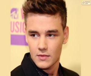 Puzle One Direction, Liam Payne