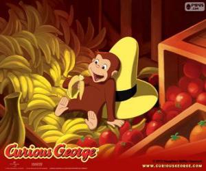 Puzle Opice George jíst banán