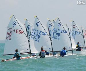 Puzle Optimist regatta