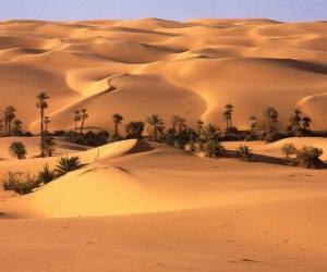 Puzle Palem v dunách v poušti