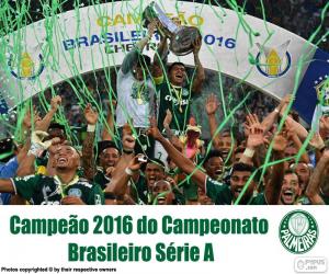 Puzle Palmeiras, mistr Brazílie 2016
