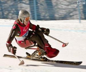 Puzle Paralympijský lyžařka ve slalomu