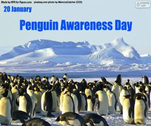 Puzle Penguin Den povědomí