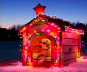 Puzle Pes domácí dům zdobený na Vánoce