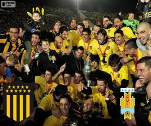 Puzle Peñarol Montevideo, vítěz první lize fotbalu 2012-2013, Uruguay