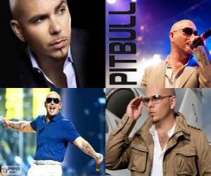 Puzle Pitbull (Armando Christian Perez), je hudební producent kubánského původu
