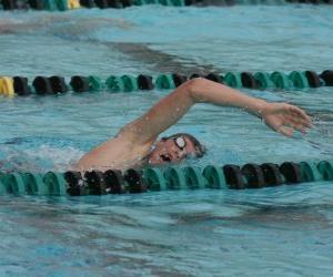 Puzle Plavec cvičí kraul v pruhu soutěže bazénu