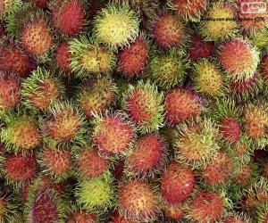 Puzle Plody Rambutan