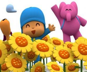 Puzle Pocoyo a jeho přátelé v poli slunečnic
