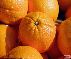 Puzle Pomeranče