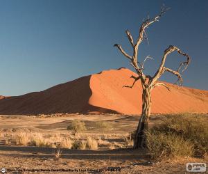 Puzle Poušť Namib, Namibie