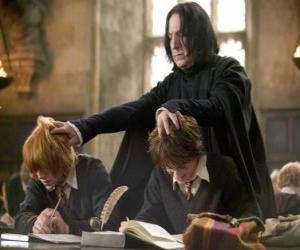 Puzle Profesor Severus Snape, studiem a Harry Potter Ron Weasley