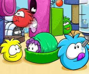 Puzle Puffles domácí zvířata v Club Penguin