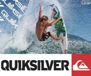 Puzle Quiksilver logo