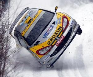Puzle Rallye auto na sněhu
