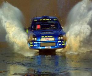 Puzle Rallye WRC - močení