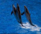 Skupina tří Skákající delfíni nad modrými vodami
