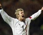 David Beckham slaví cíl