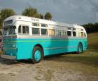 Antique autobus