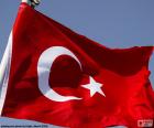 Vlajka Turecko, tvořená Ubývající měsíc a bílá hvězda na červeném pozadí