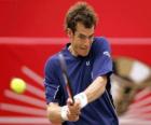 Andy Murray připraven k převratu